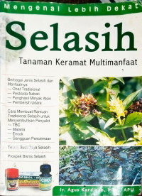 Image of Selasih Tanaman Keramat Multimanfaat